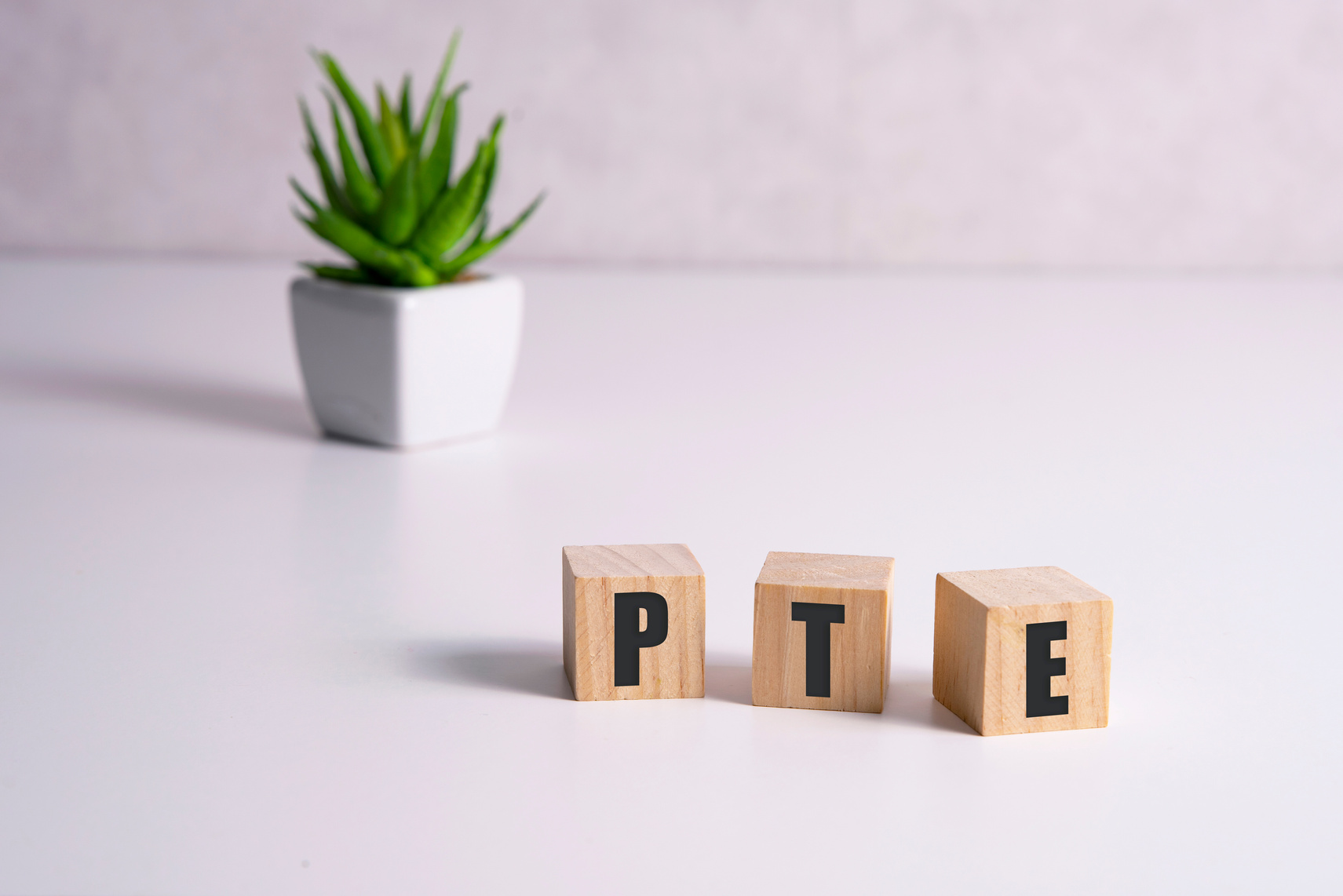 PTE - acronym from wooden blocks with letters, Pearson Tests of English PTE concept Foreign Language exams, top view on white background.